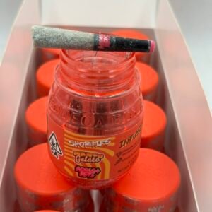 bodega boyz shorties pre rolls