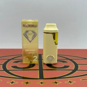 CLEAN CARTS SUMMER TRAVEL 2G DISPOSABLE