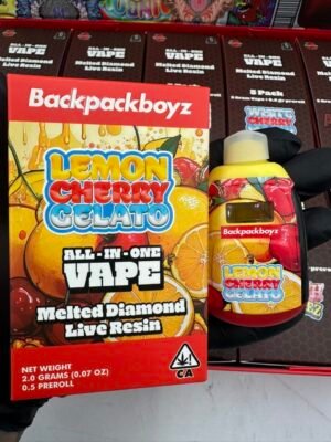 backpack boyz 2g disposable